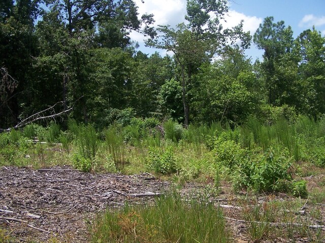 1621 Harkins Ln, Marshall, TX 75652