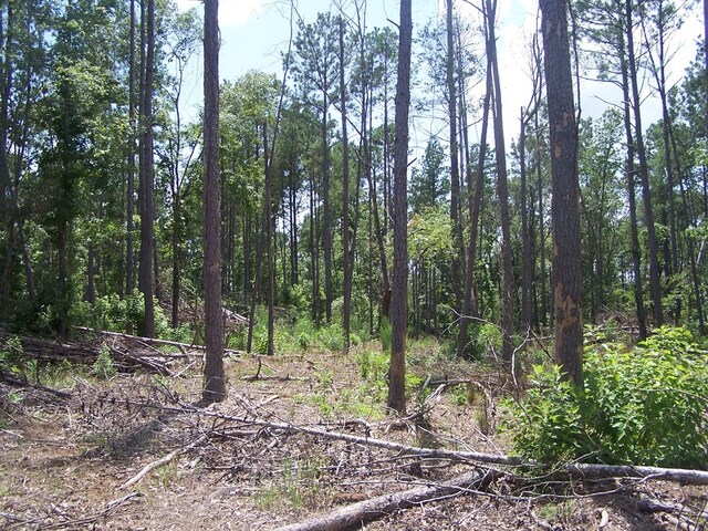 1621 Harkins Ln, Marshall, TX 75652