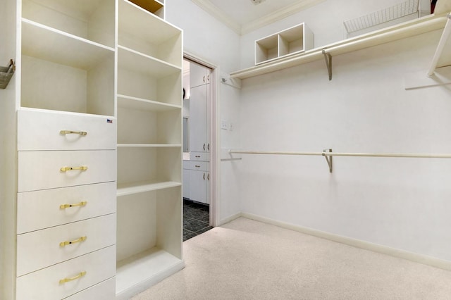 spacious closet featuring carpet floors