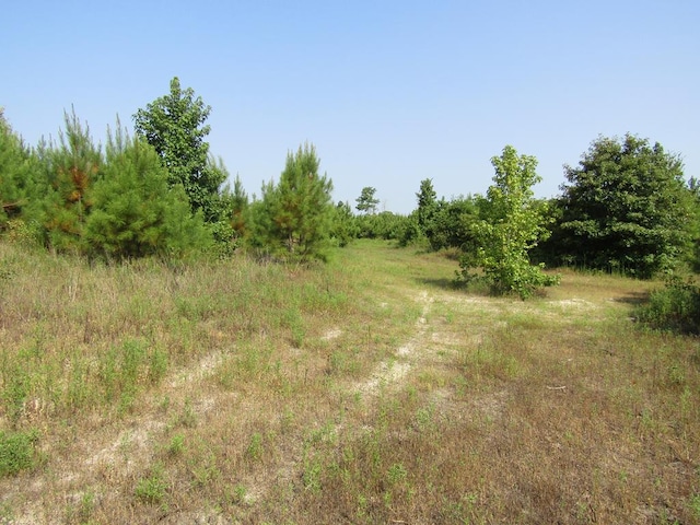 00 Fm 2109, Huntington TX, 75949 land for sale