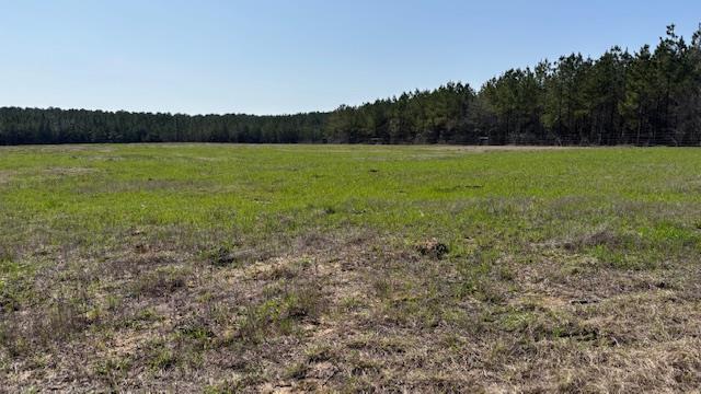 0 Beckcom Rd, Hemphill TX, 75948 land for sale