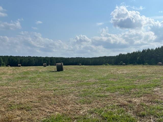 6032176 Beckcom Rd, Hemphill, TX 75948