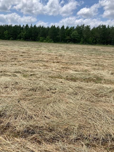 6032176 Beckcom Rd, Hemphill, TX 75948