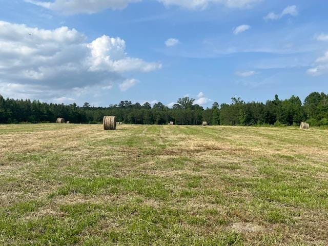6032176 Beckcom Rd, Hemphill, TX 75948