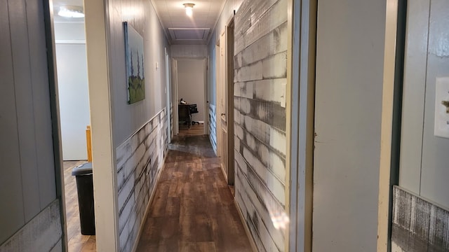 corridor featuring dark wood-type flooring and wood walls