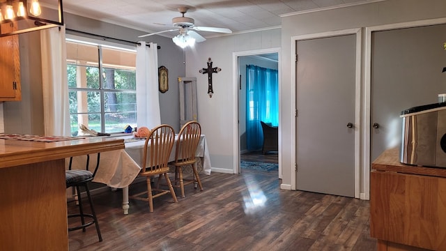 dining space featuring ceiling fan, dark hardwood / wood-style flooring, and crown molding