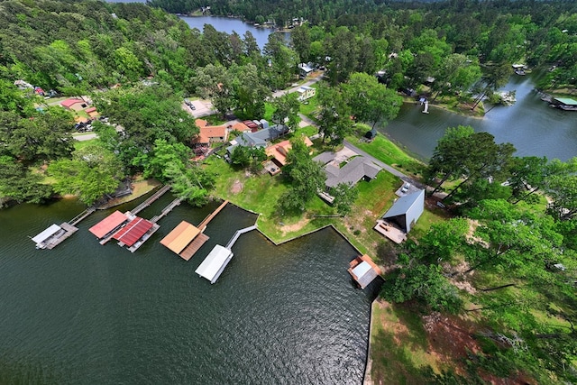 bird's eye view featuring a view of trees and a water view