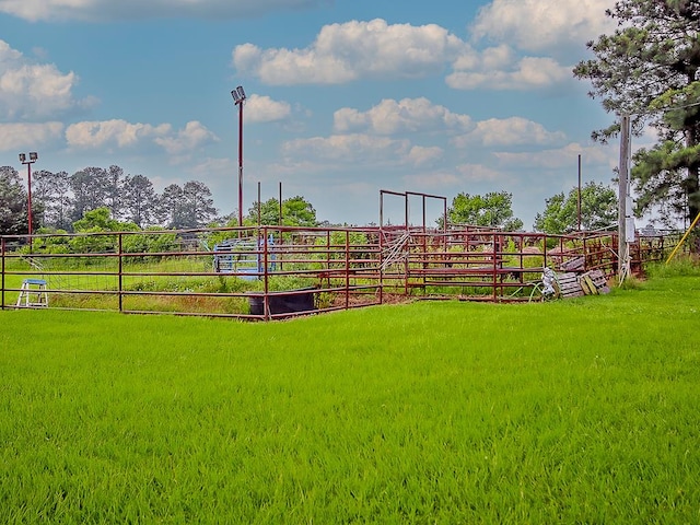 view of yard with a rural view