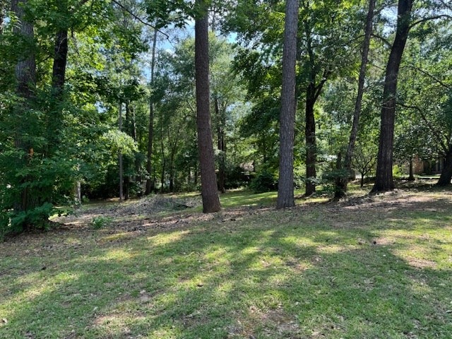 LOT116 Creek Bnd, Jasper, TX 75951