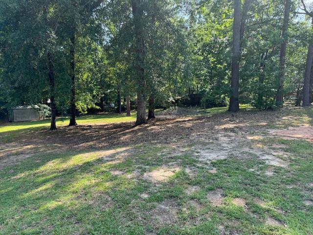 LOT116 Creek Bnd, Jasper, TX 75951