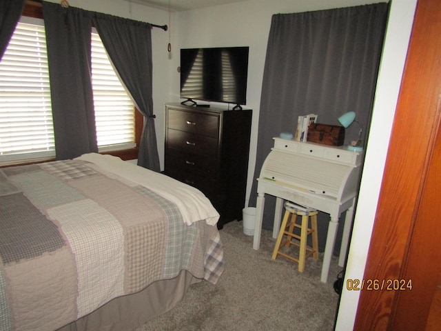 view of carpeted bedroom