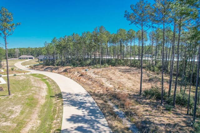 LOT18 Rayburn Reserve Dr, Brookeland, TX 75951