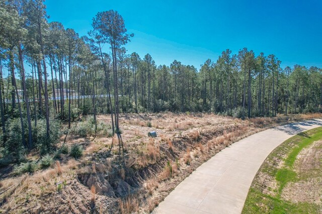 LOT18 Rayburn Reserve Dr, Brookeland, TX 75951