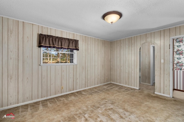 empty room featuring carpet flooring, wood walls, and a textured ceiling