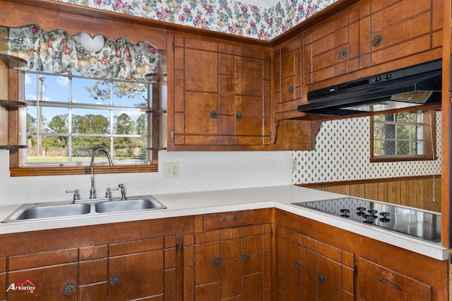 kitchen featuring black electric stovetop, sink, and exhaust hood