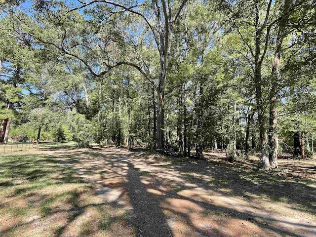 Listing photo 3 for 580 Dogwood Loop, Jasper TX 75951