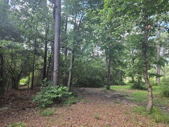315 Sanders, Livingston, TX 77351 - photo 5