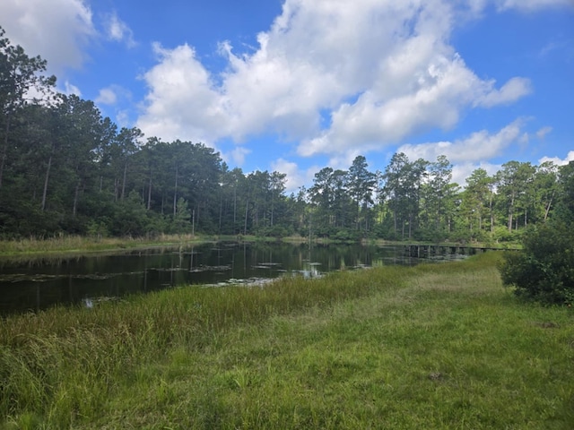 315 Sanders, Livingston, TX 77351 - photo 4