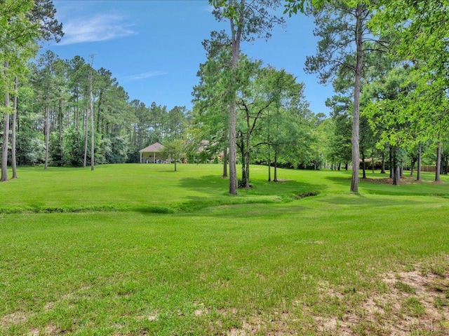 2102 Brentwood Dr, Lufkin, TX 75901 - view of green lawn featuring view of scattered trees