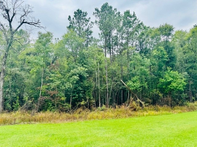R011954 County Road 563, Kirbyville, TX 75956 - photo 4