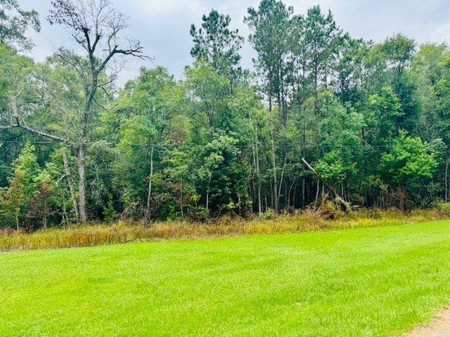 R011954 County Road 563, Kirbyville, TX 75956 - photo 5