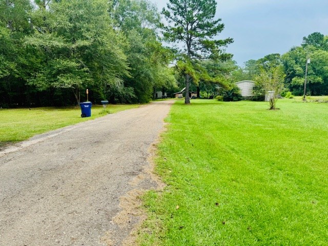 R011954 County Road 563, Kirbyville, TX 75956 - photo 3