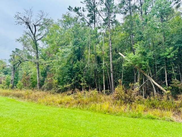 R011954 County Road 563, Kirbyville, TX 75956 - photo 2