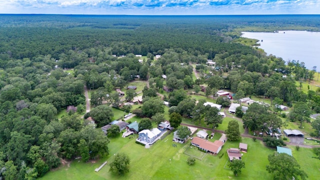 321 Paradise Dr, Zavalla, TX 75980 - photo 15