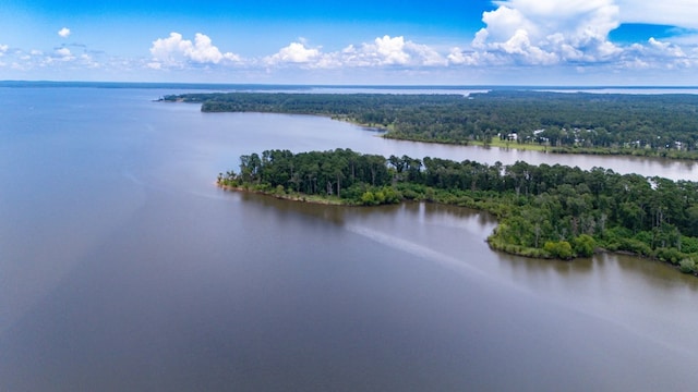 321 Paradise Dr, Zavalla, TX 75980 - photo 14