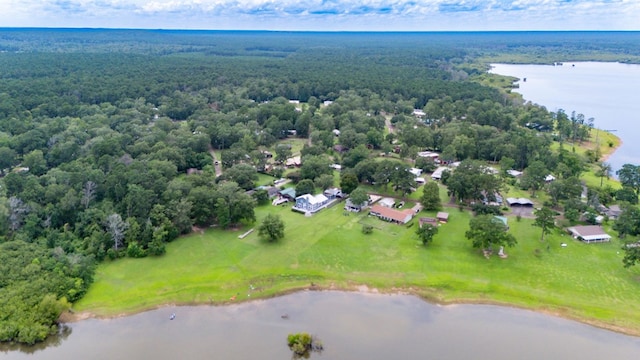 321 Paradise Dr, Zavalla, TX 75980 - photo 16