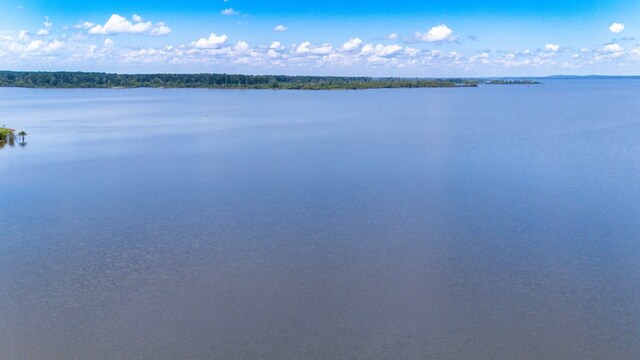 321 Paradise Dr, Zavalla, TX 75980 - photo 13