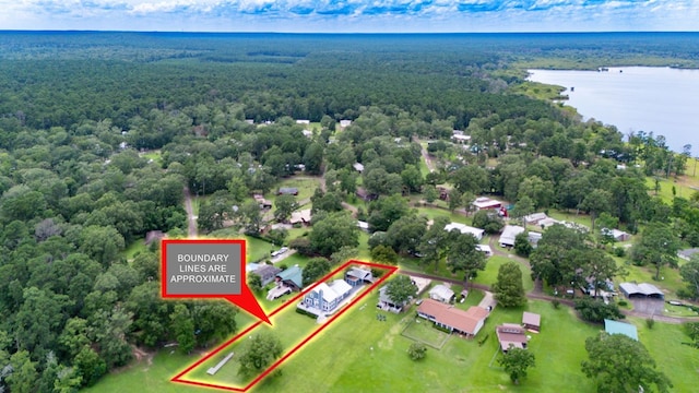 321 Paradise Dr, Zavalla, TX 75980 - photo 4