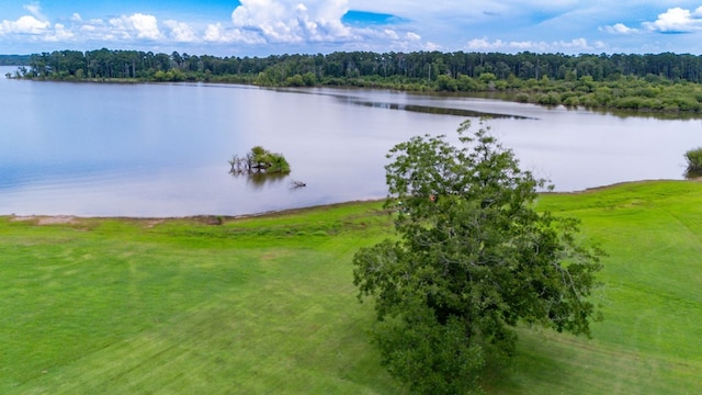321 Paradise Dr, Zavalla, TX 75980 - photo 8