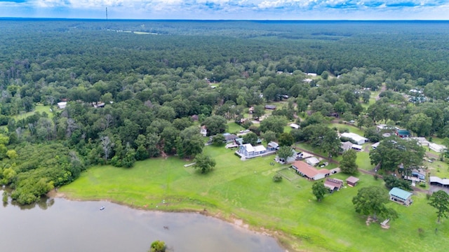 321 Paradise Dr, Zavalla, TX 75980 - photo 17