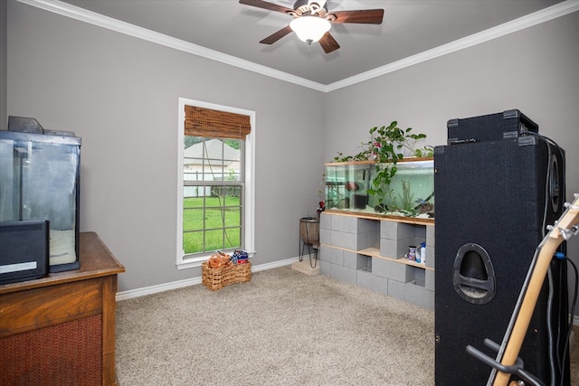 2607 Old Union Rd, Lufkin, TX 75904 - carpeted home office featuring a ceiling fan, ornamental molding, and baseboards