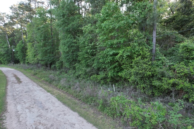 R390000300 Creel Ln, Saratoga, TX 77585 - photo 8