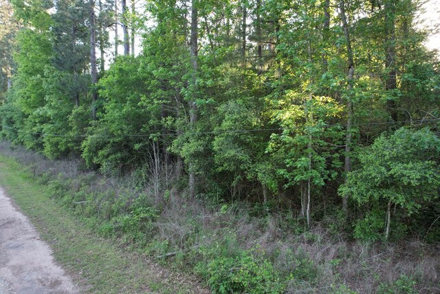 R390000300 Creel Ln, Saratoga, TX 77585 - photo 10