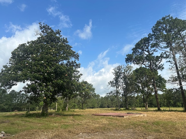 21555 County Road 3114, Buna, TX 77612