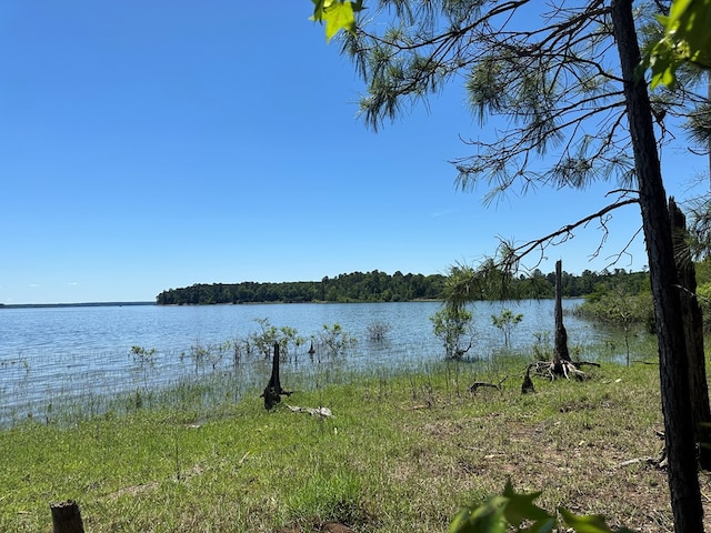 R12357LOT117 Fm 705, Broaddus, TX 75929
