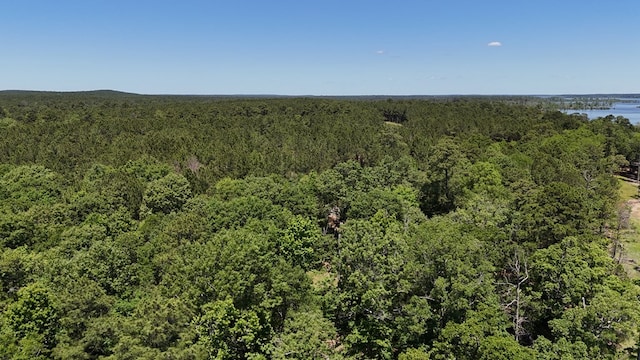 R12357LOT117 Fm 705, Broaddus, TX 75929