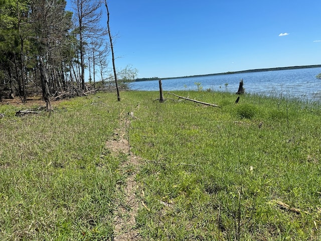 R12357LOT117 Fm 705, Broaddus, TX 75929
