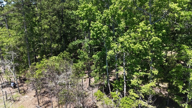 R12357LOT117 Fm 705, Broaddus, TX 75929