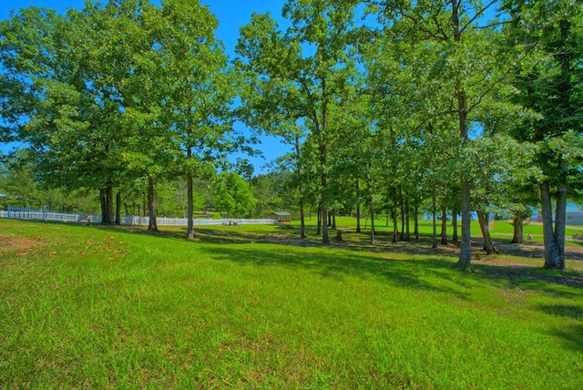 123 Jarrod, Burkeville, TX 75932 - photo 40