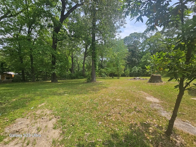 view of yard