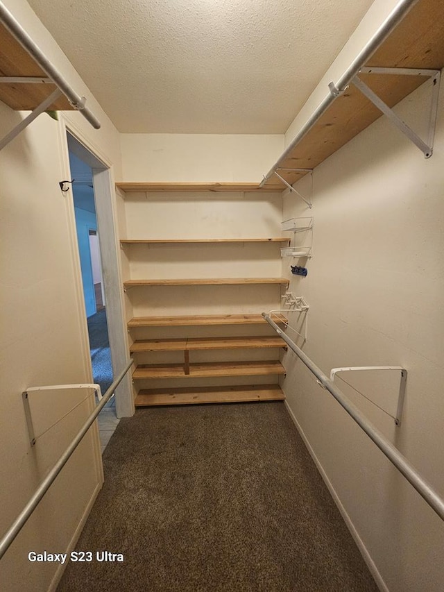 spacious closet with dark colored carpet