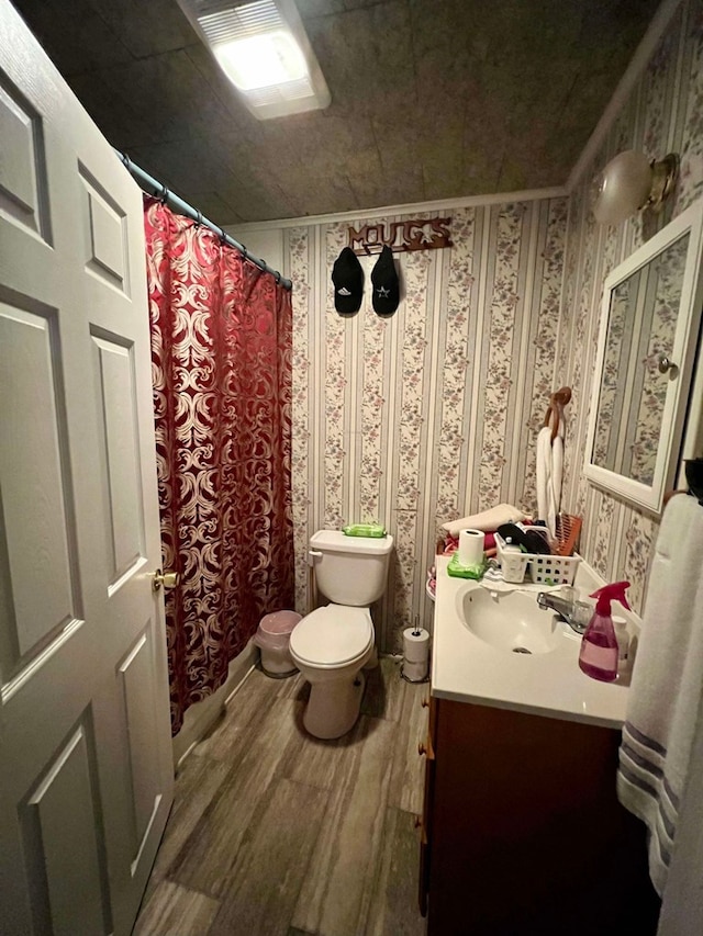 bathroom with hardwood / wood-style floors, vanity, and toilet