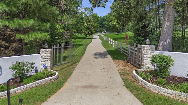 view of community with a lawn