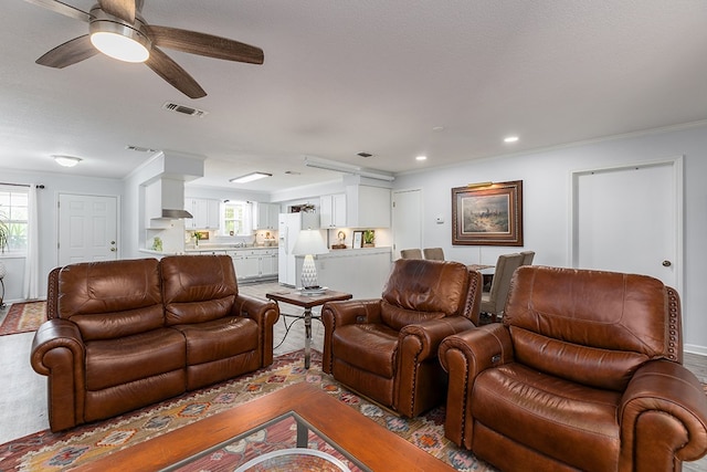 living room featuring ceiling fan, a healthy amount of sunlight, a textured ceiling, and ornamental molding