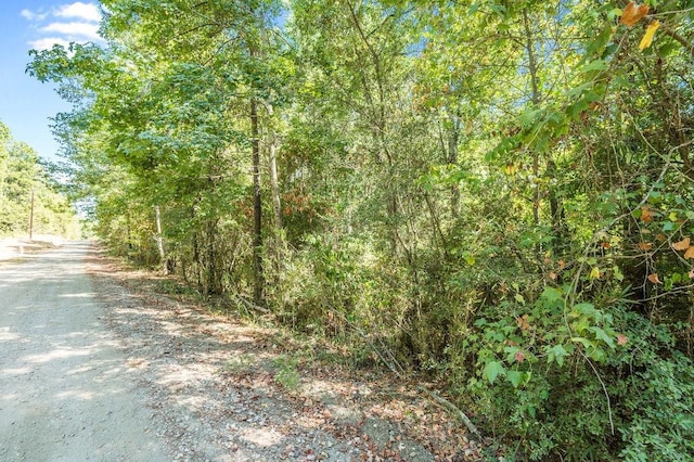 541 Live Oak Dr, Brookeland, TX 75931