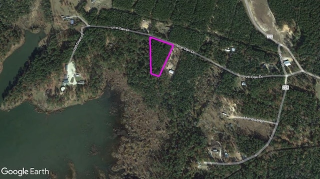 541 Live Oak Dr, Brookeland, TX 75931
